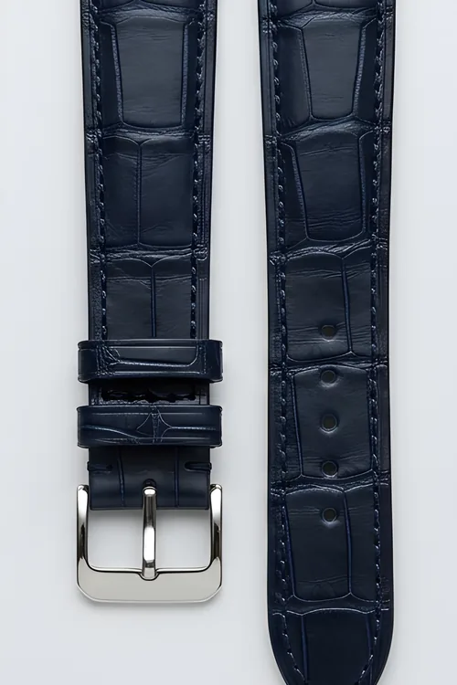 Navy Alligator